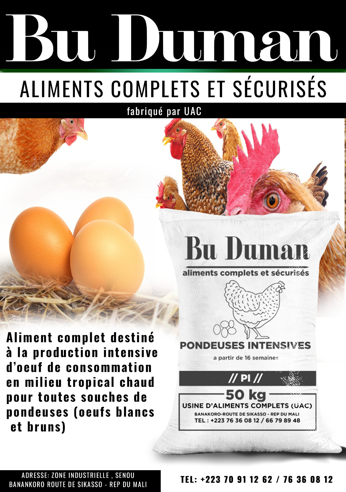 Bu Duman PONDEUSES INTENSIVES